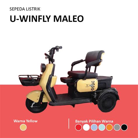 5 Alasan mengapa WinFly Motor Listrik Harus Masuk Garasi Anda